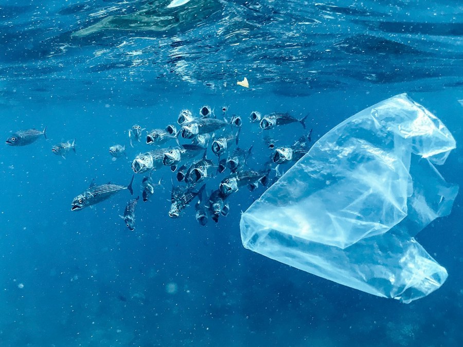 technology combating plastic pollution