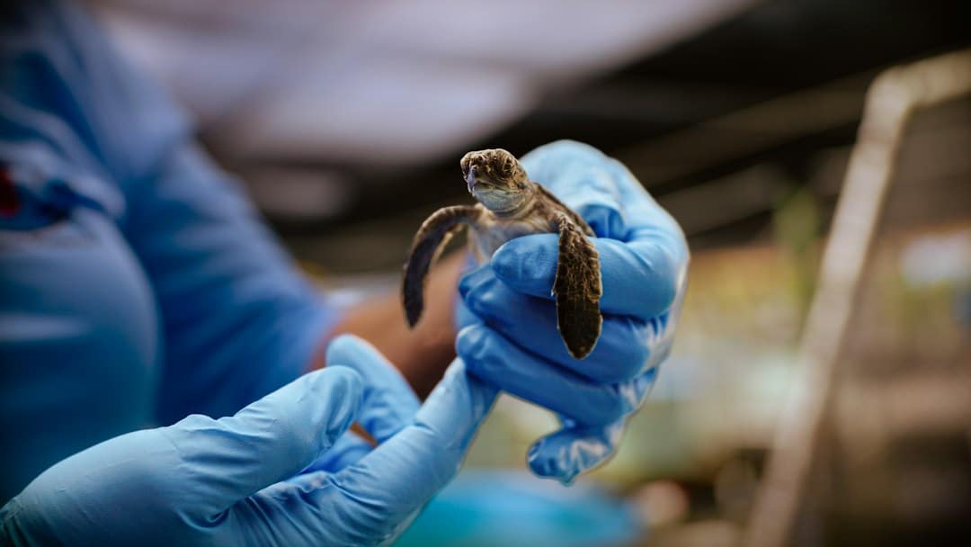 Photo technology protecting endangered species