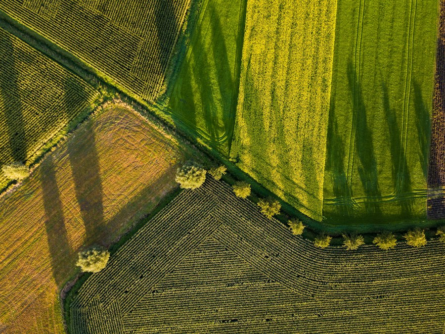 Photo precision agriculture sensors AI