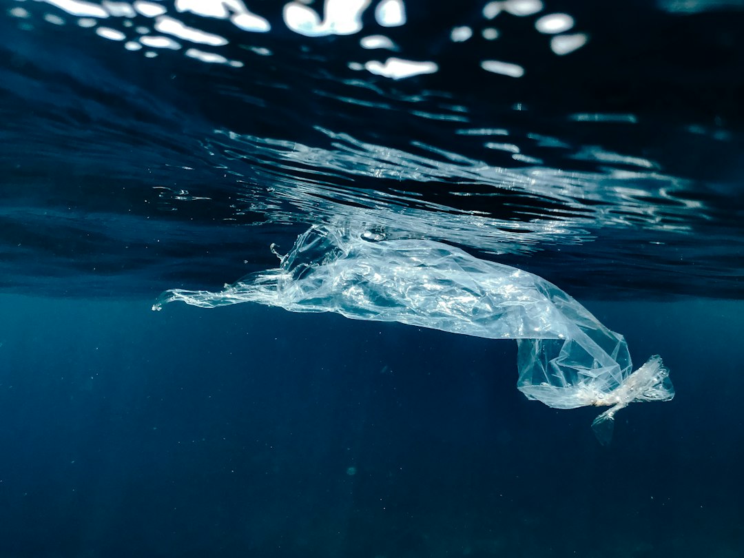 Photo technology combating plastic pollution